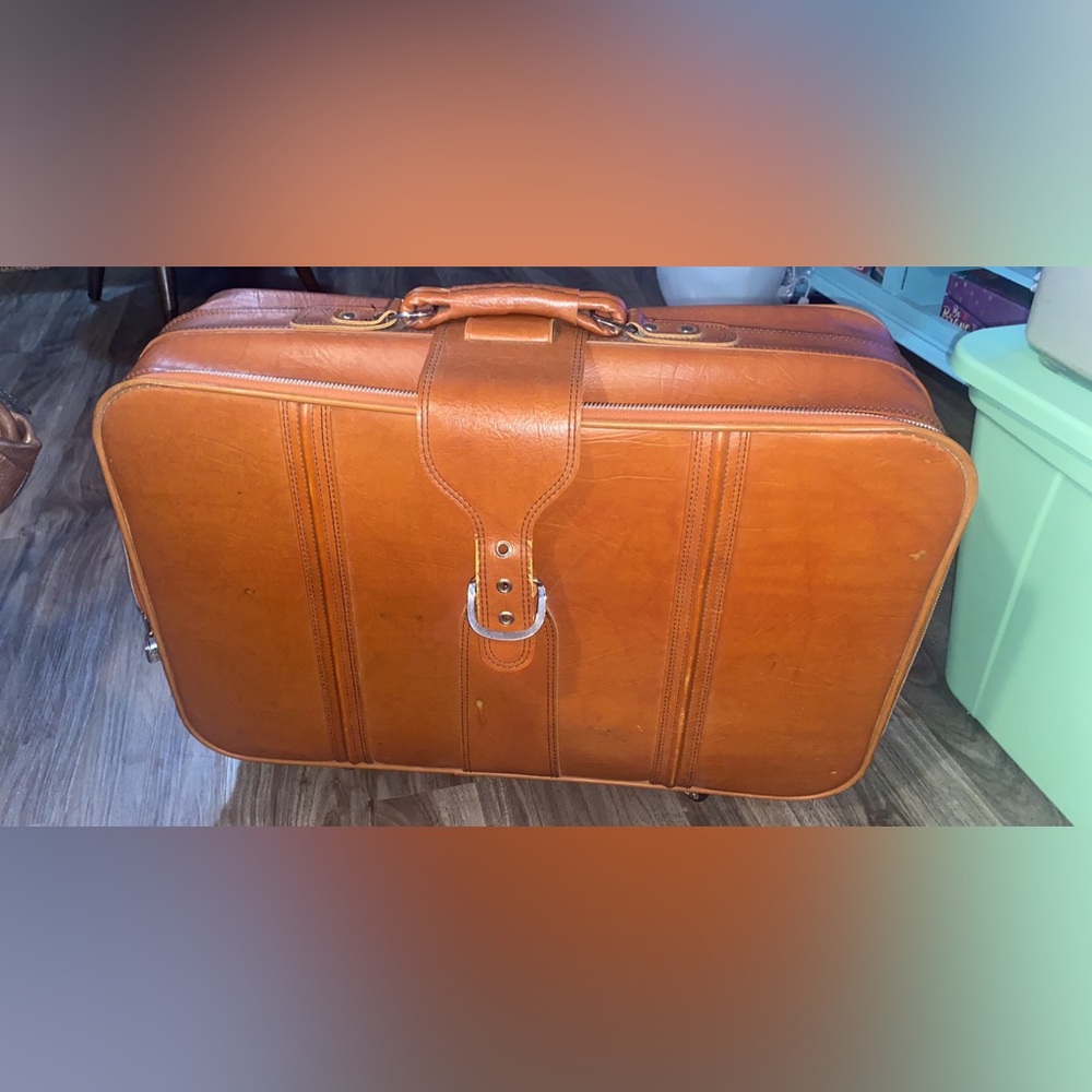 Vintage 1970s Sears luggage case